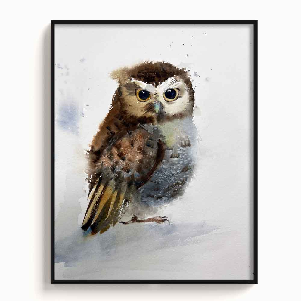 Owl-V - The Manify