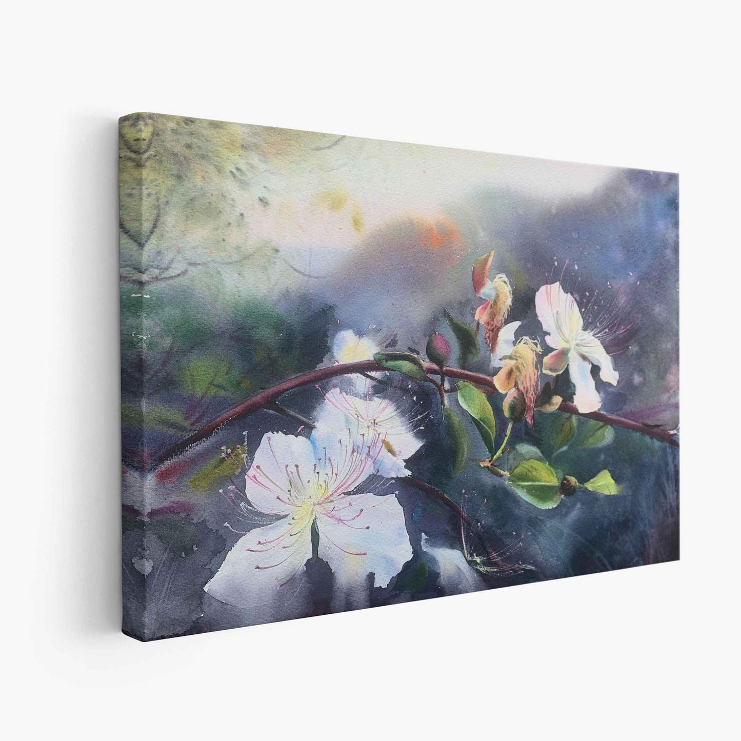 Flower - The Manify