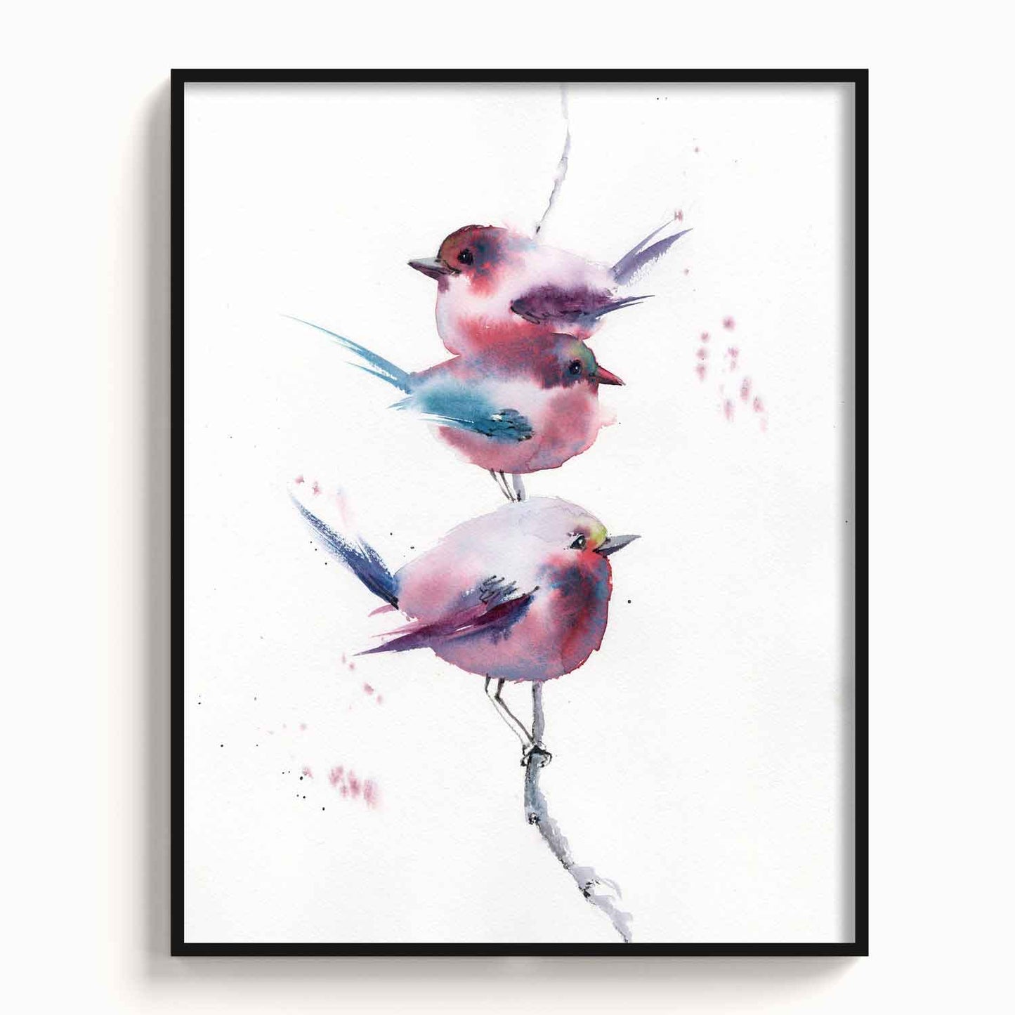 Birds-VIII - The Manify