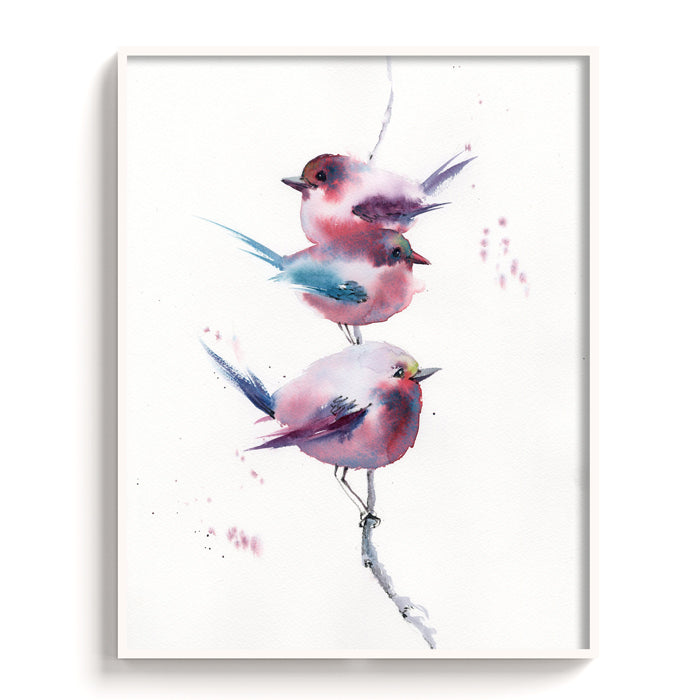 Birds-VIII - The Manify