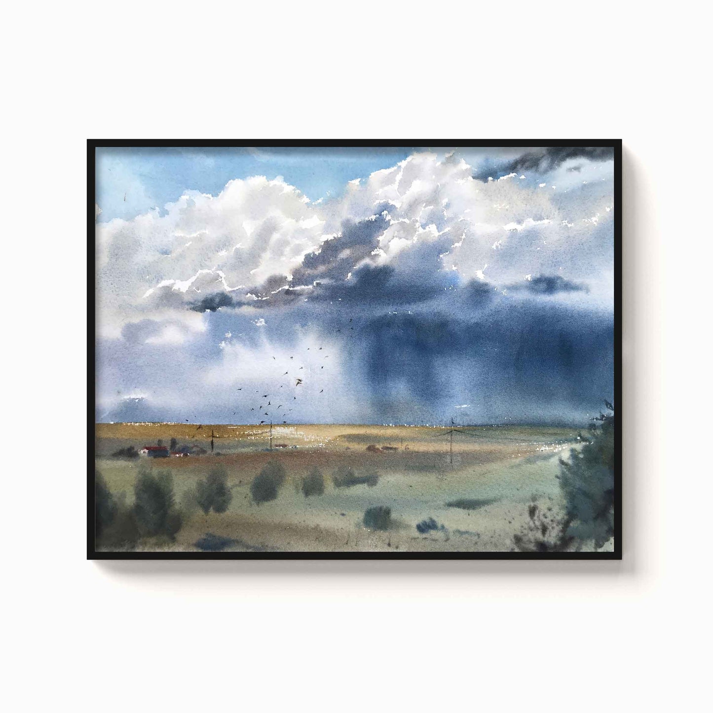 Landscape - The Manify