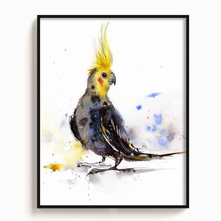 Birds-XII - The Manify
