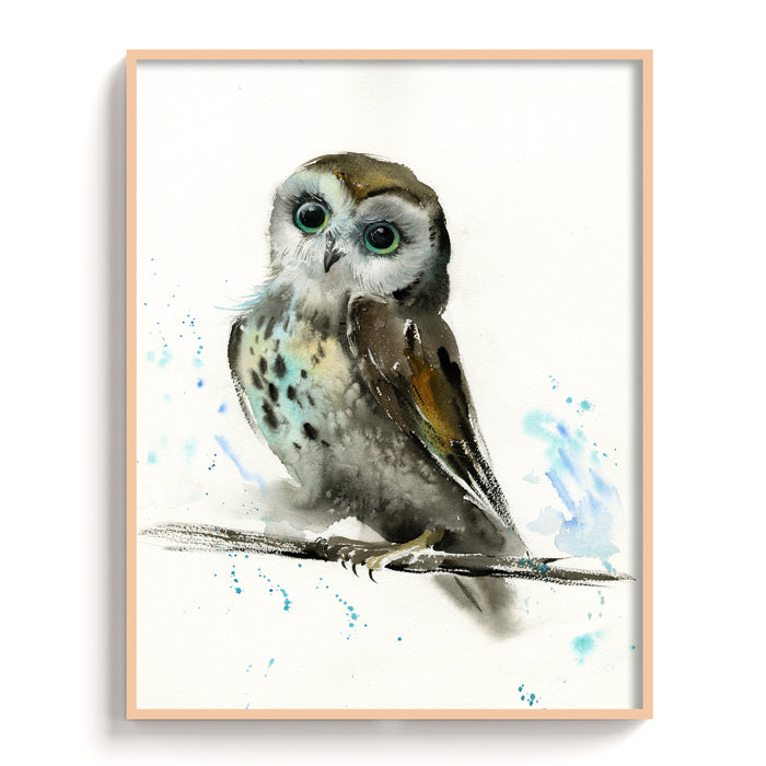 Owl-IX - The Manify