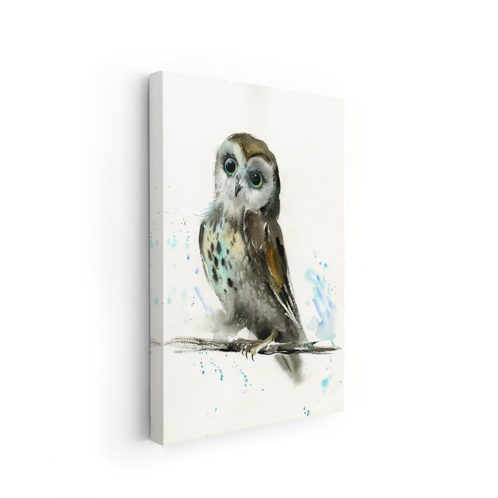 Owl-IX - The Manify