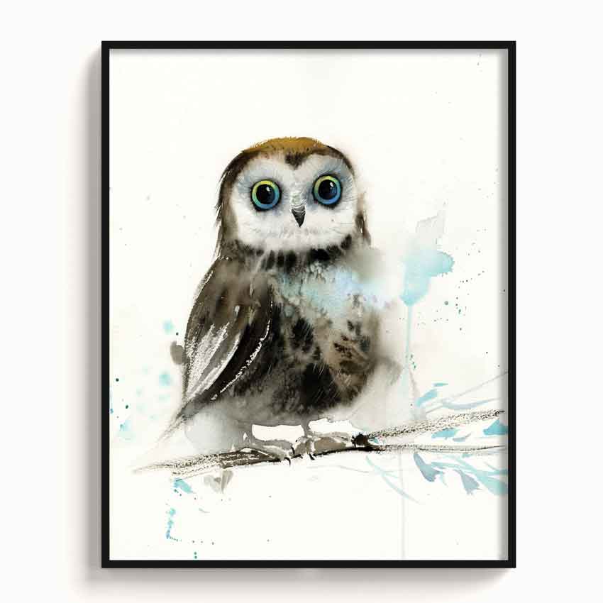 Owl-X - The Manify