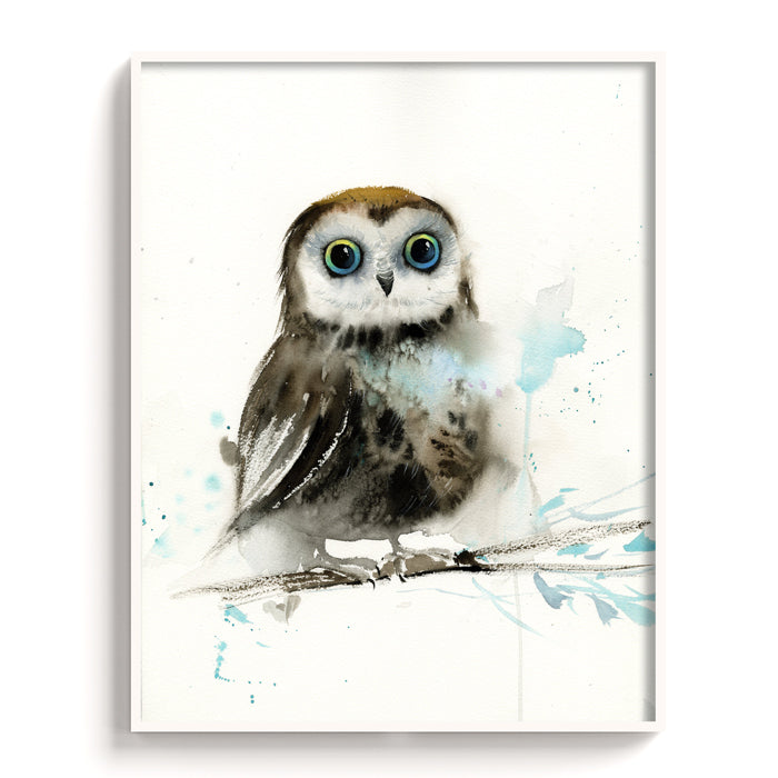 Owl-X - The Manify