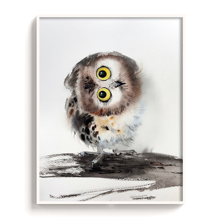 Owl-XII The Manify