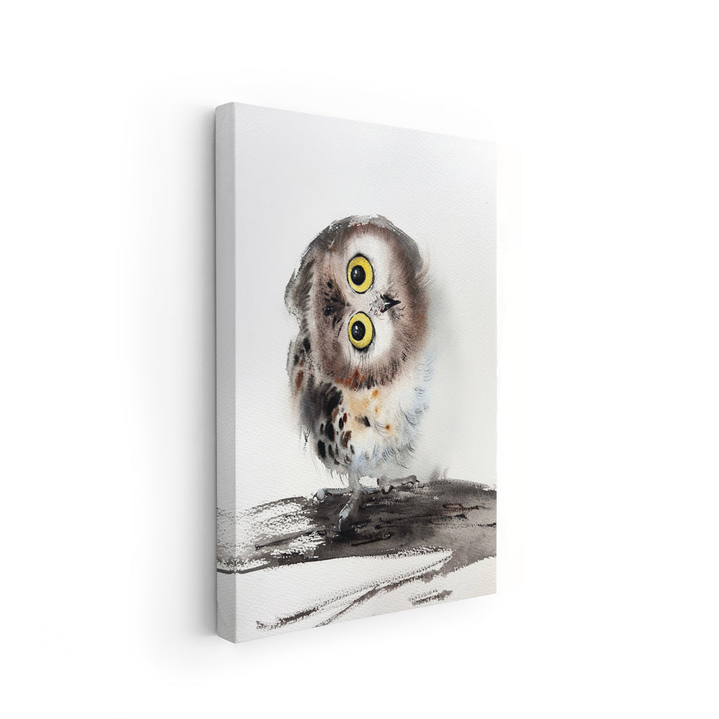 Owl-XII The Manify