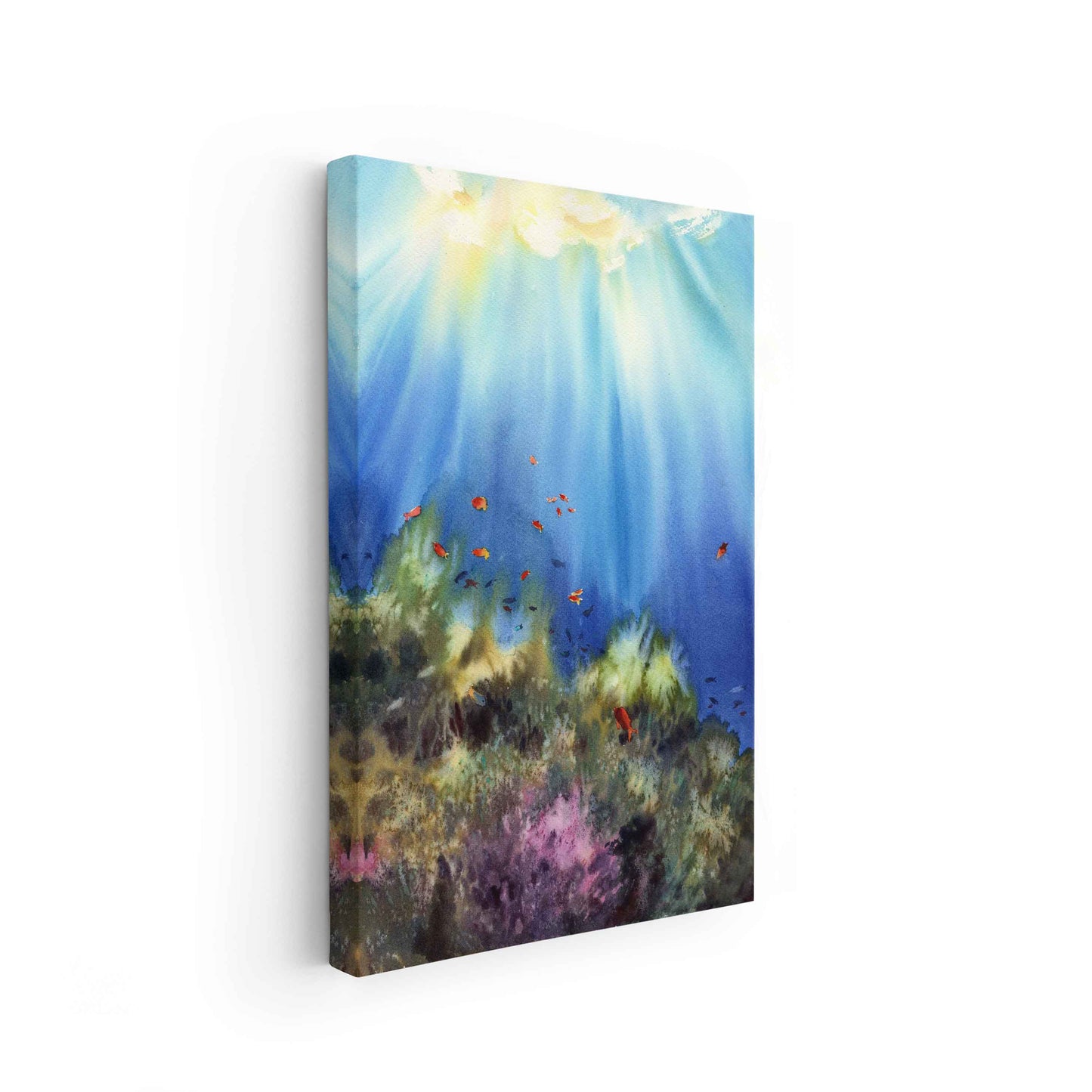 Seascape - The Manify