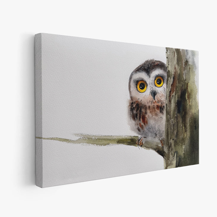 Owl-XIV - The Manify