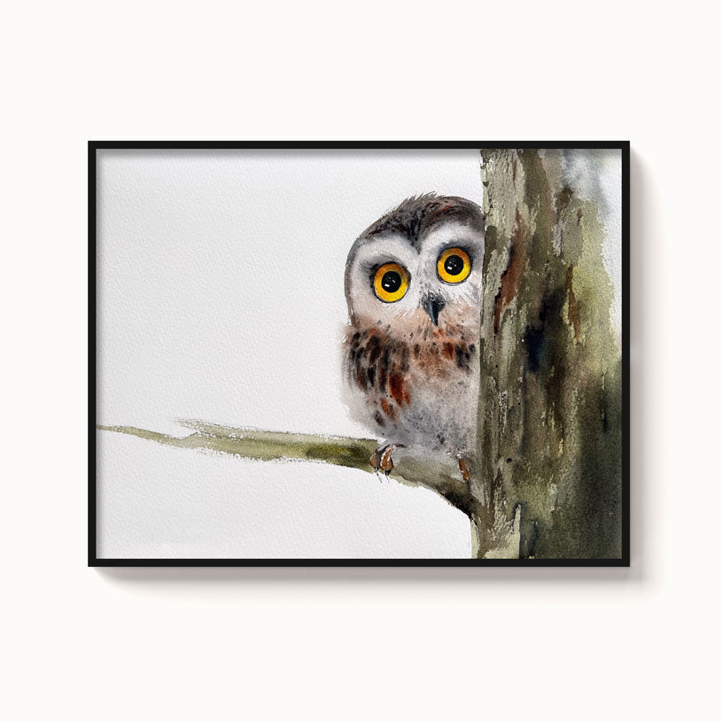 Owl-XIV - The Manify