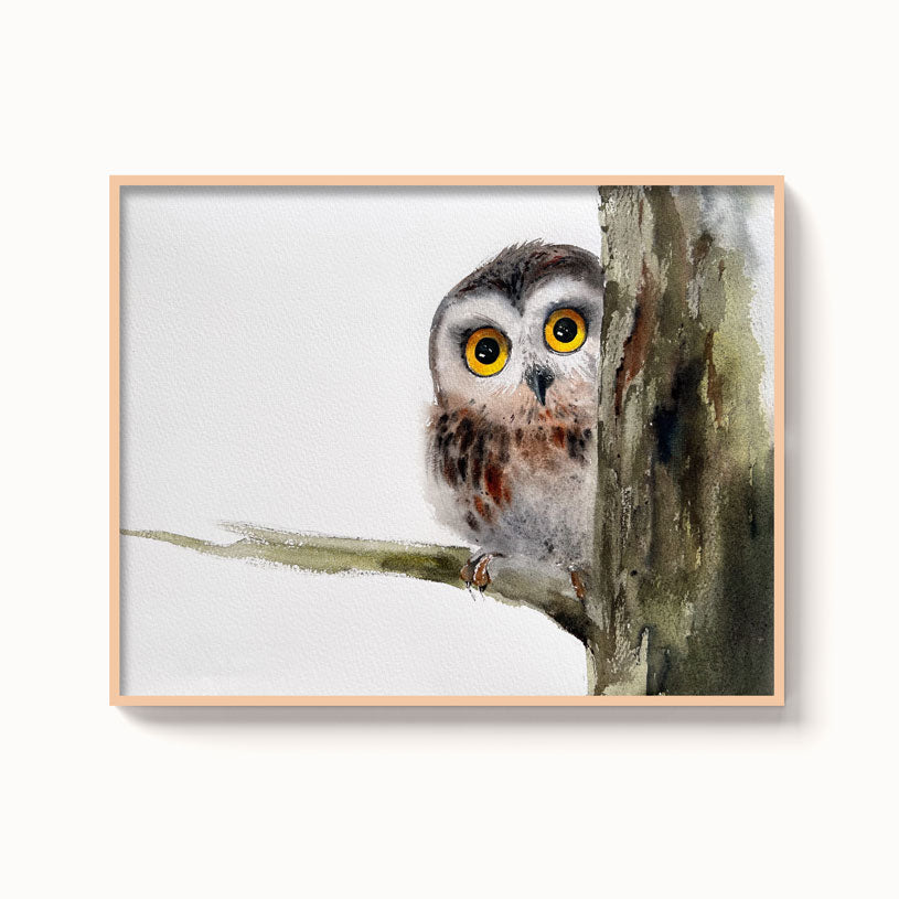 Owl-XIV - The Manify