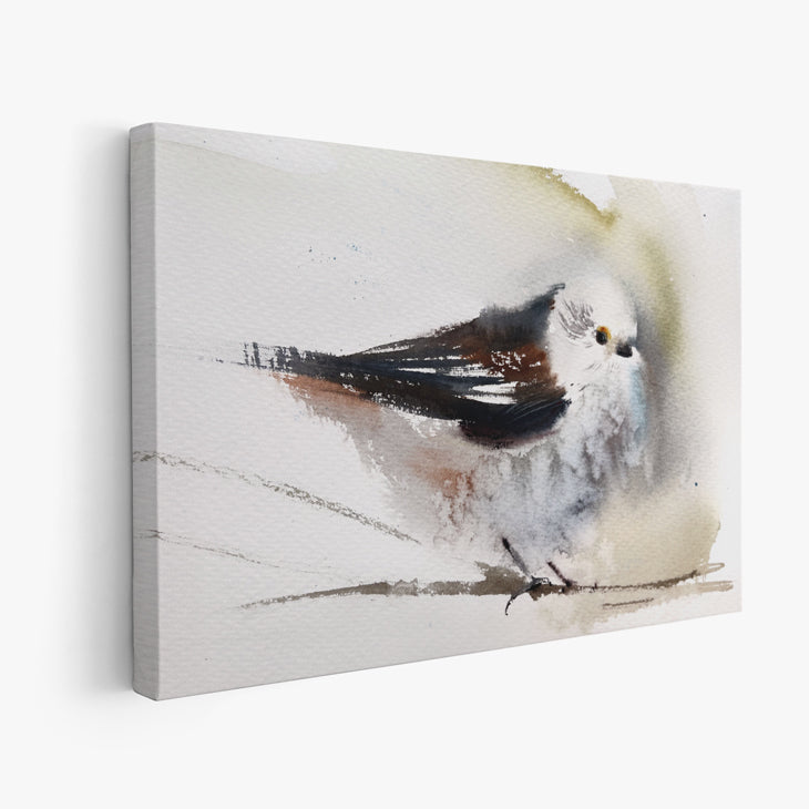 Birds-XVI - The Manify