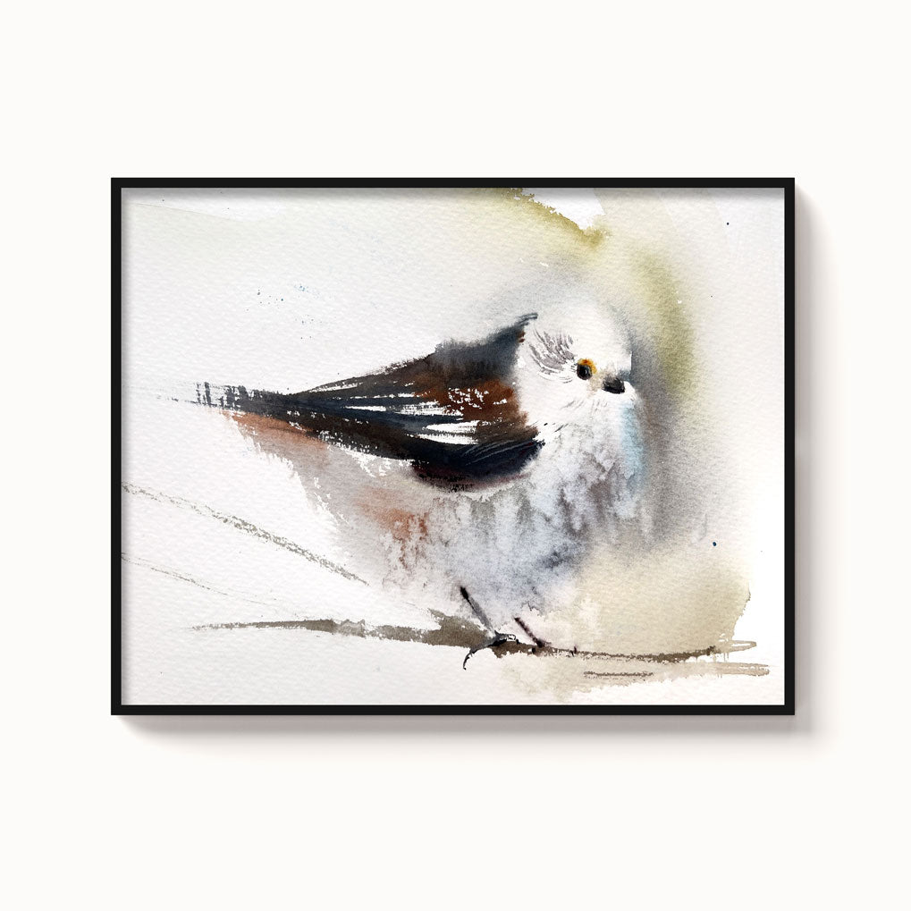Birds-XVI - The Manify