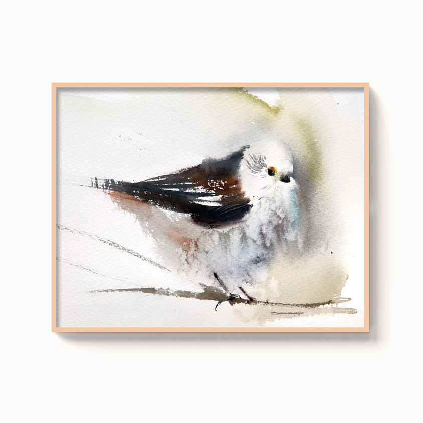 Birds-XVI - The Manify