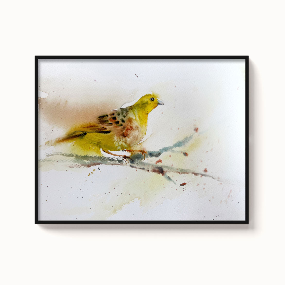Birds-XVII - The Manify