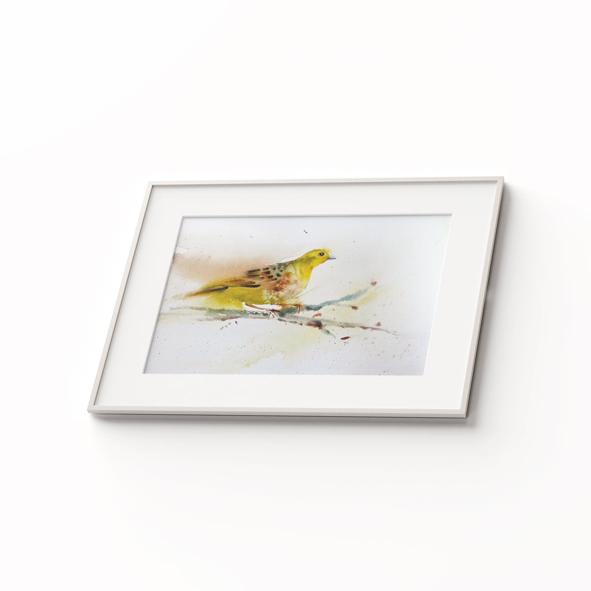 Birds-XVII - The Manify