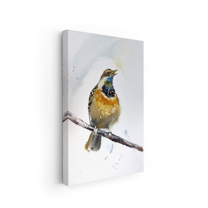Birds-III - The Manify