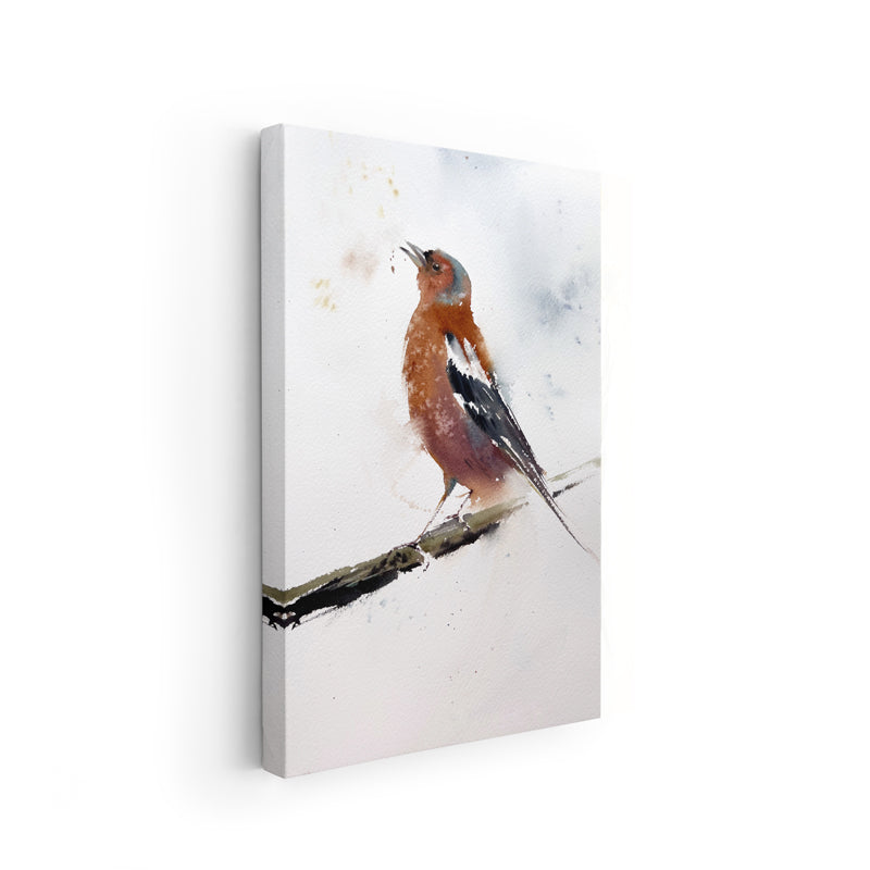 Birds-IV - The Manify