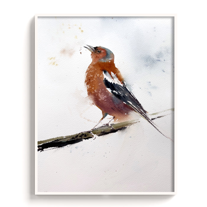 Birds-IV - The Manify
