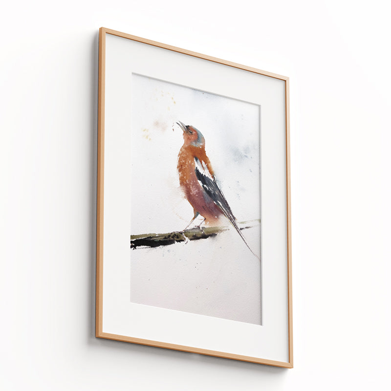Birds-IV - The Manify