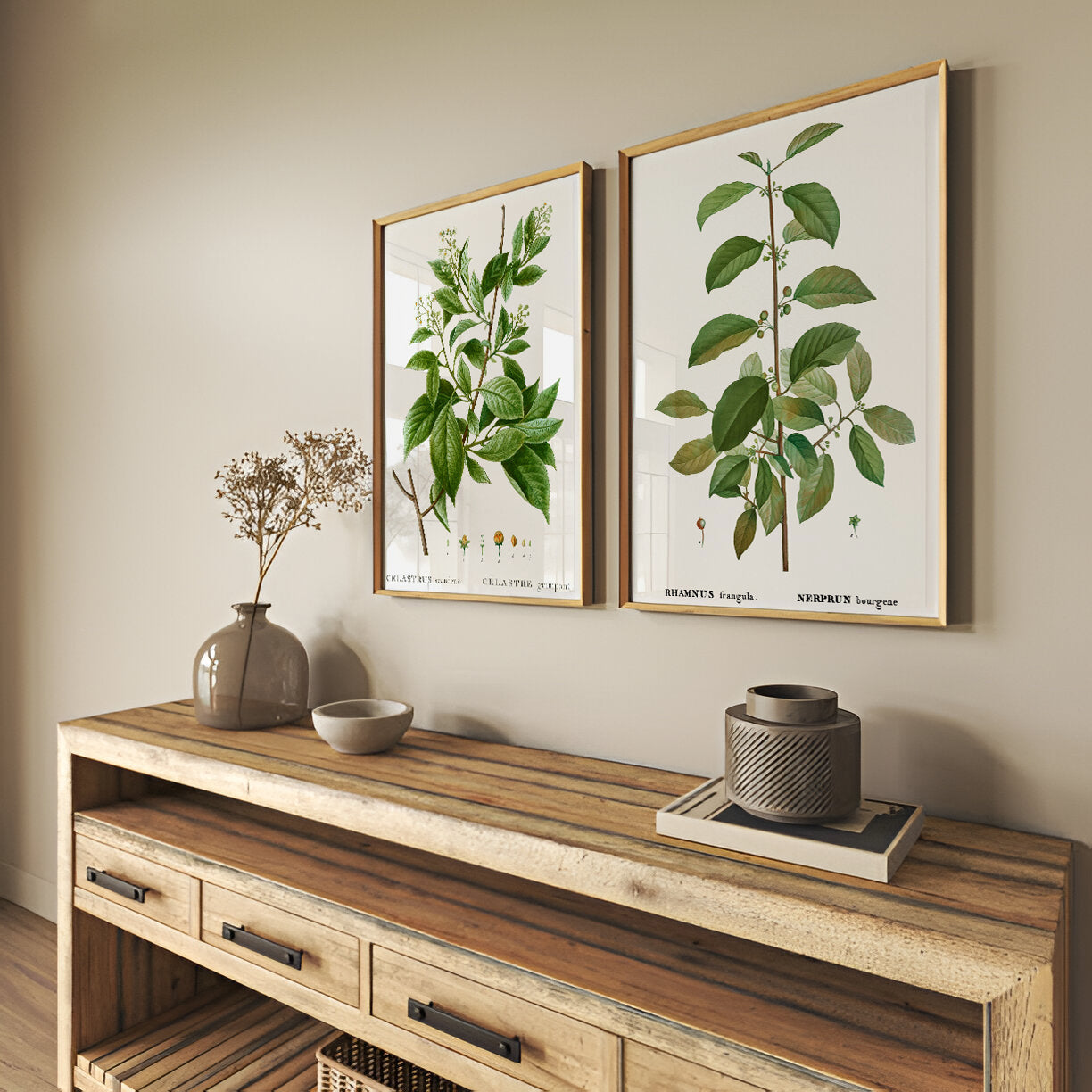 Botanical illustration