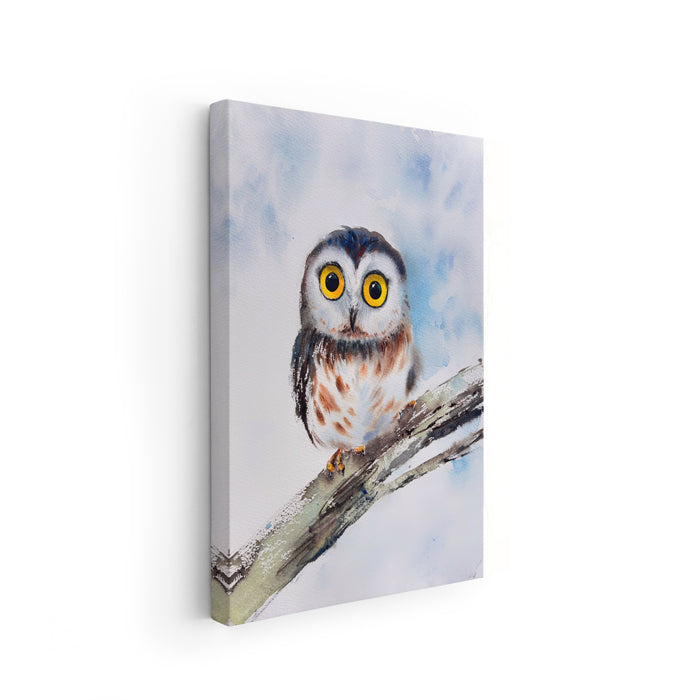 Owl - The Manify