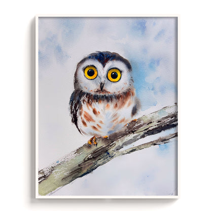Owl - The Manify