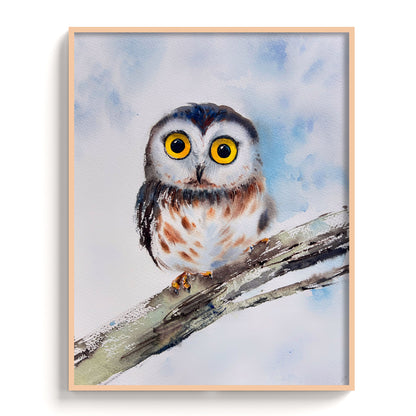 Owl - The Manify