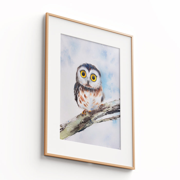 Owl - The Manify