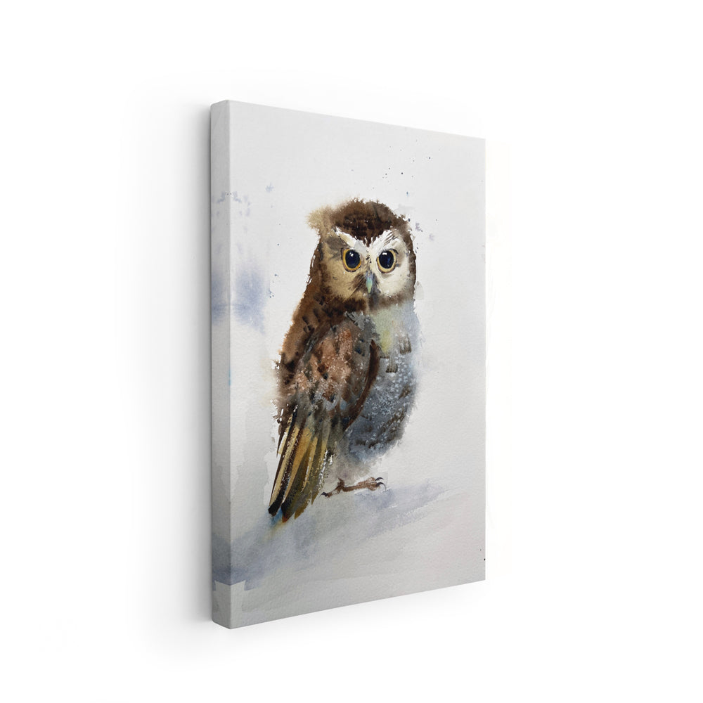 Owl-V - The Manify