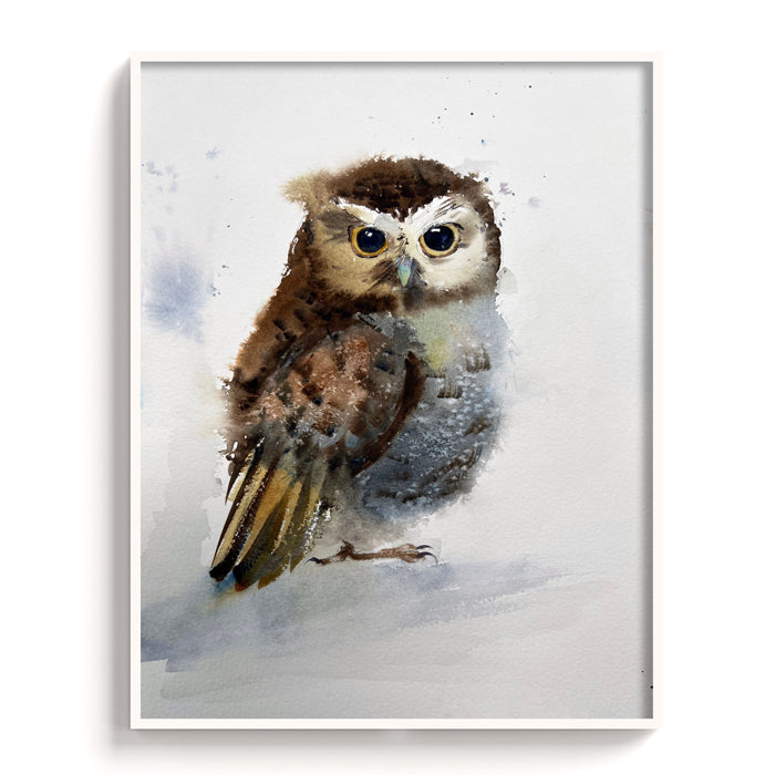 Owl-V - The Manify