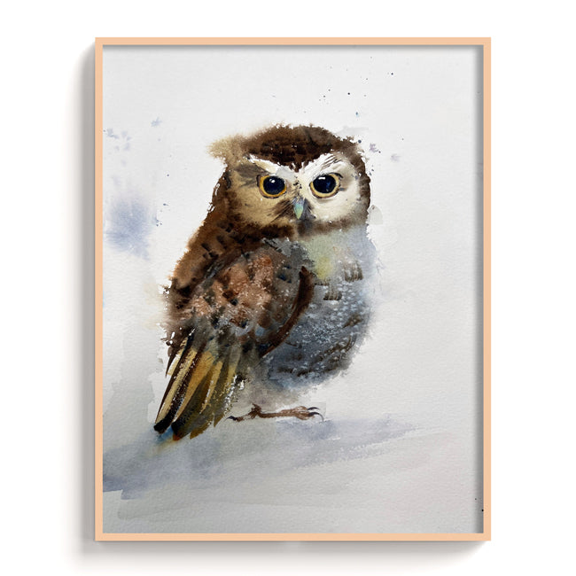 Owl-V - The Manify