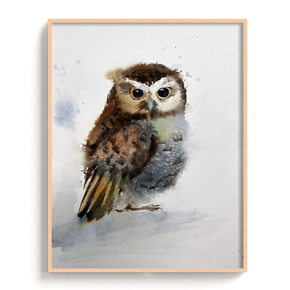 Owl-V - The Manify