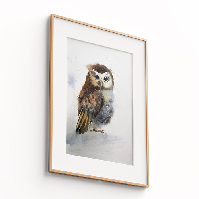 Owl-V - The Manify