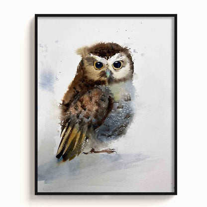 Owl-V - The Manify