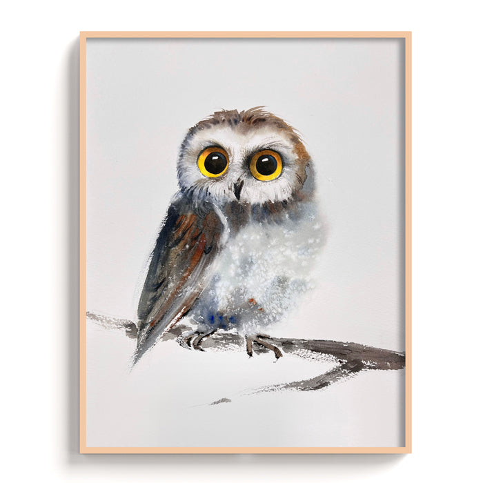 Owl-VI - The Manify