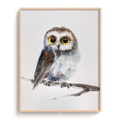 Owl-VI - The Manify