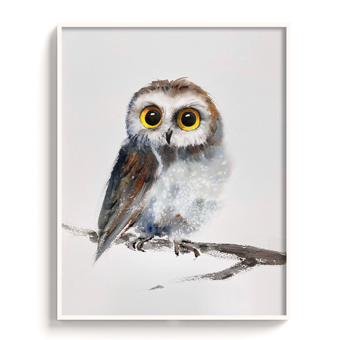 Owl-VI - The Manify