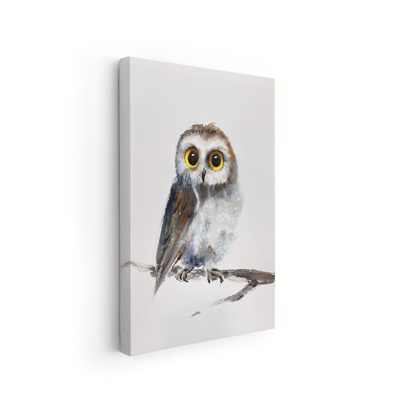 Owl-VI - The Manify