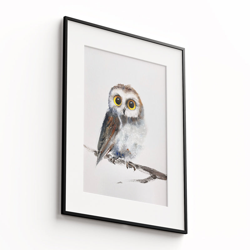 Owl-VI - The Manify