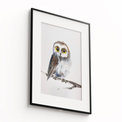 Owl-VI - The Manify
