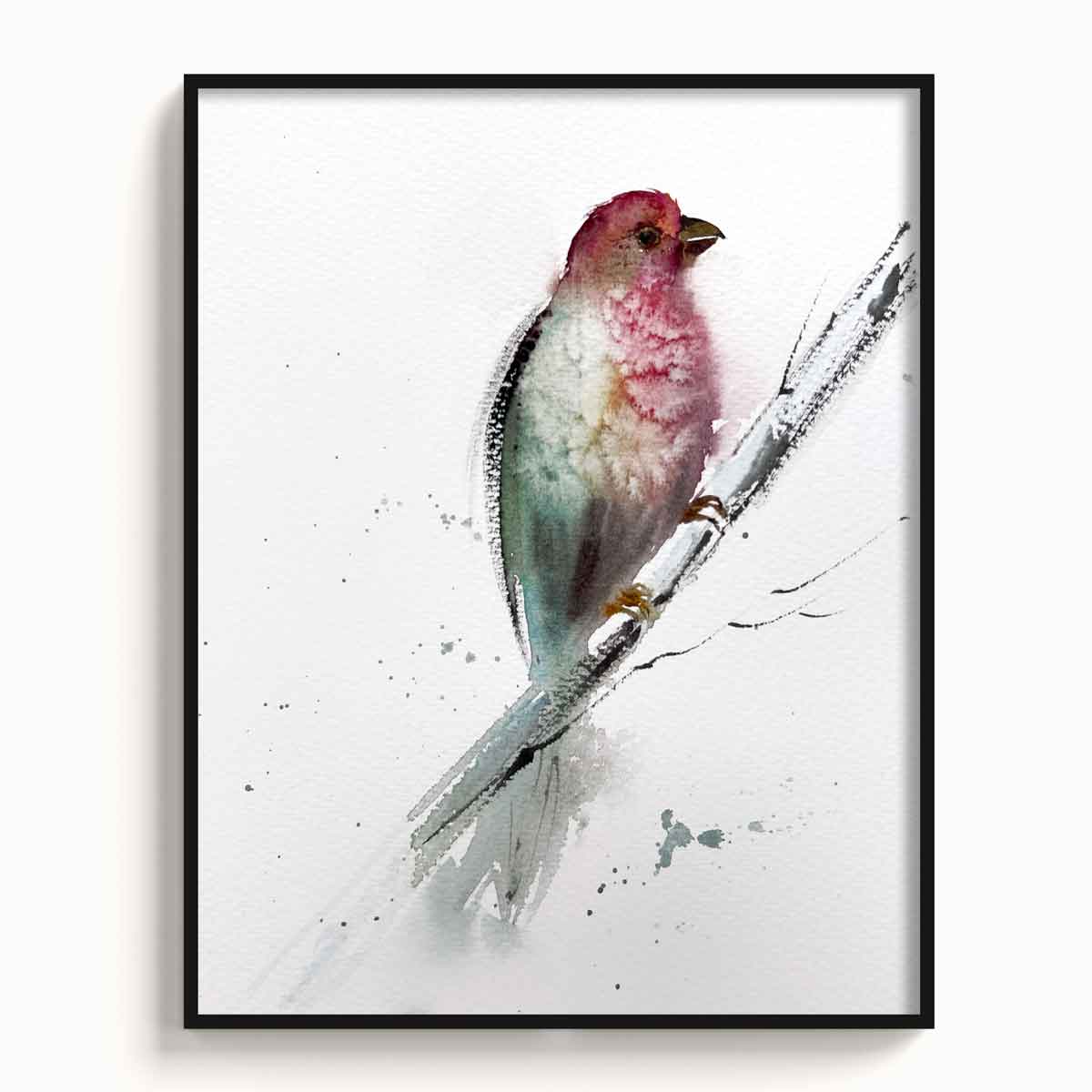 Birds-VII - The Manify