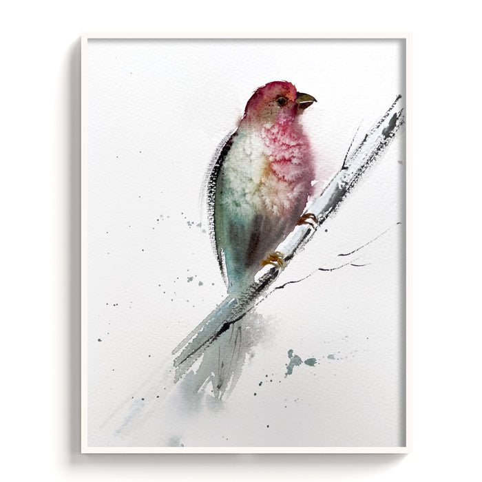 Birds-VII - The Manify
