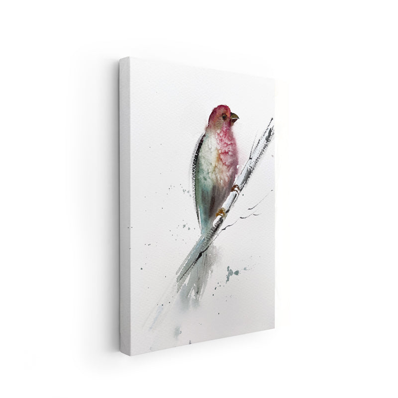 Birds-VII - The Manify