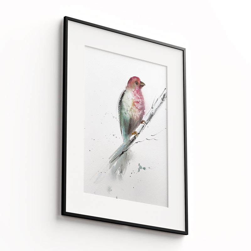 Birds-VII - The Manify