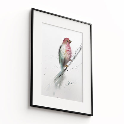 Birds-VII - The Manify
