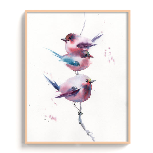 Birds-VIII - The Manify