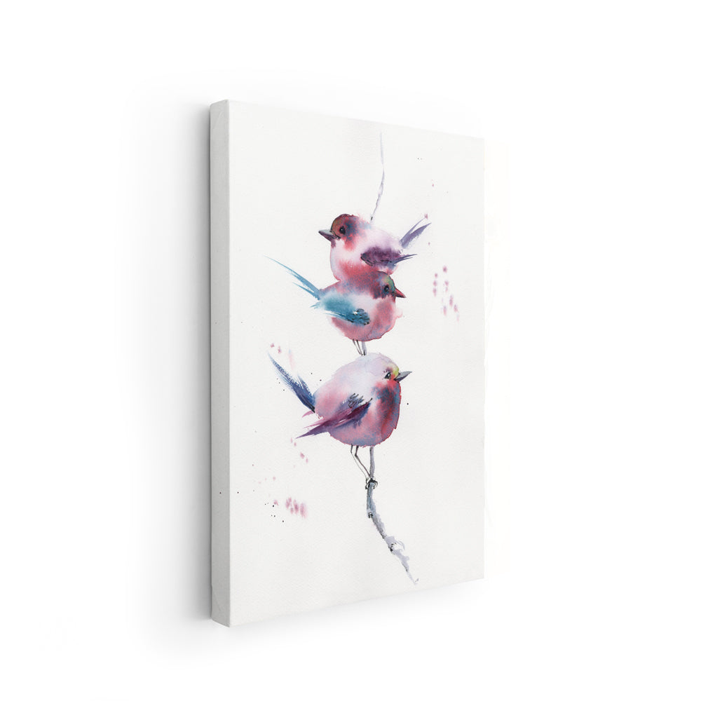 Birds-VIII - The Manify