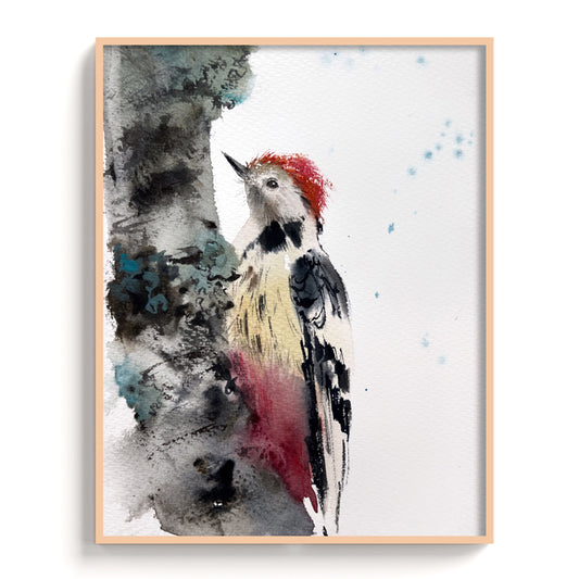 Birds-IX - The Manify